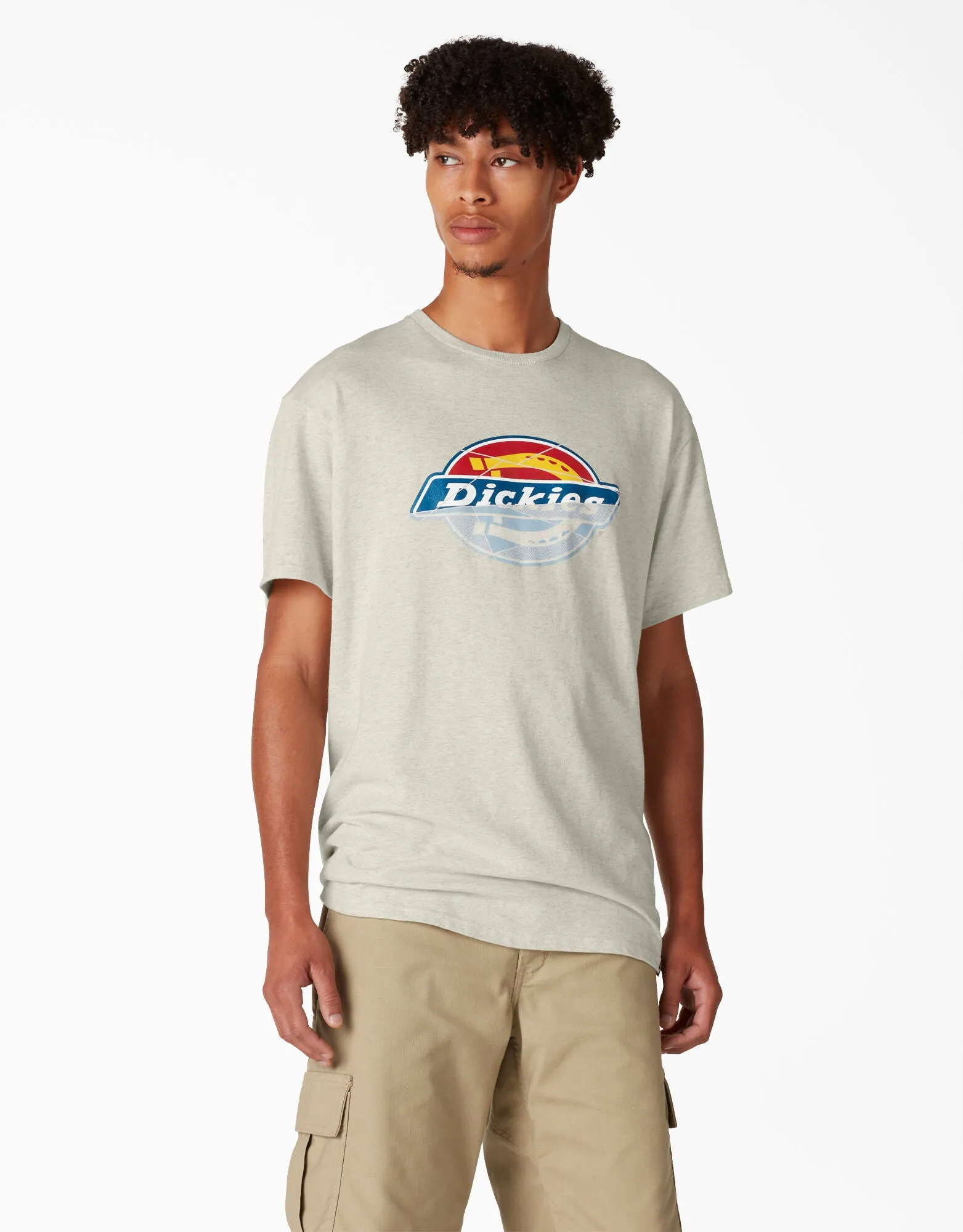 Dickies Skateboarding Break Out Graphic T-Shirt - Oatmeal Heather