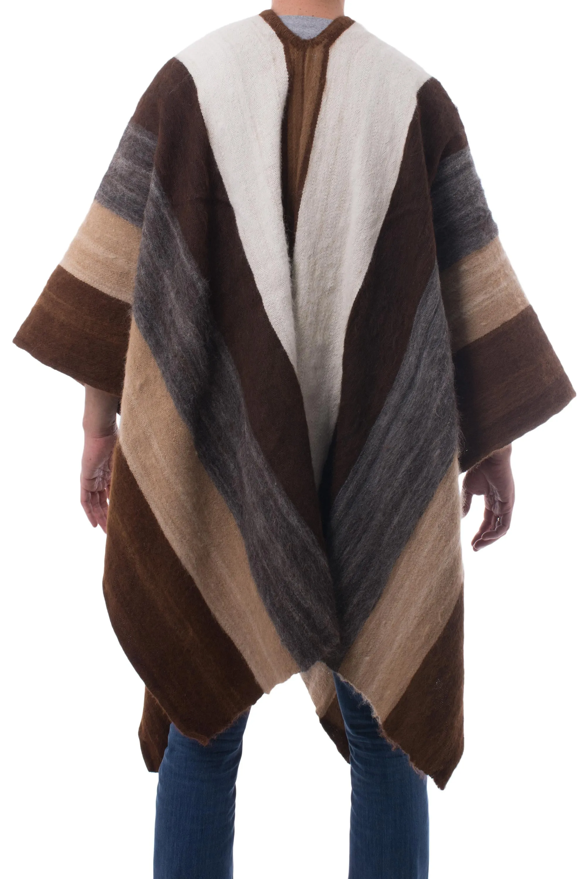 Men's Andean 100% Alpaca Handwoven Poncho in Earth Shades - Andean Celebration | NOVICA