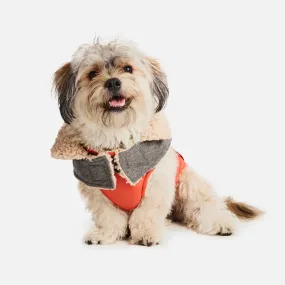 Sherpa Fleece Dog Coat—Orange