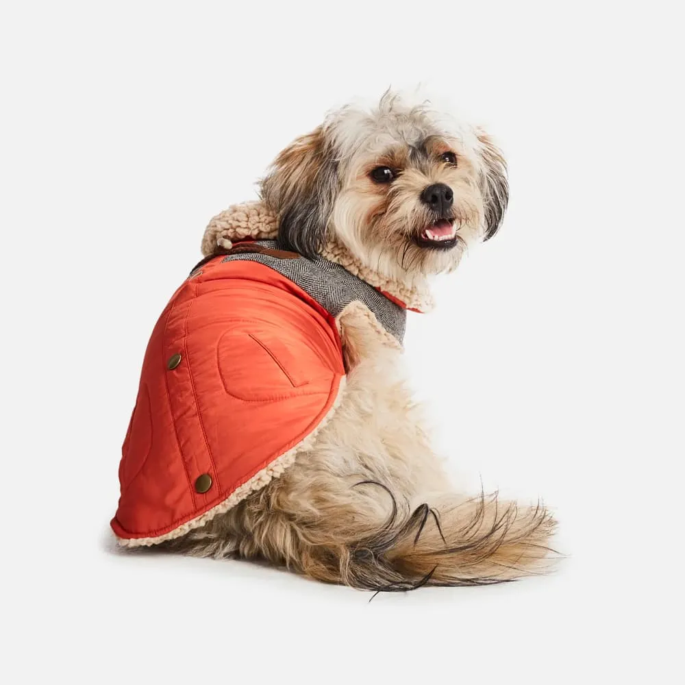 Sherpa Fleece Dog Coat—Orange